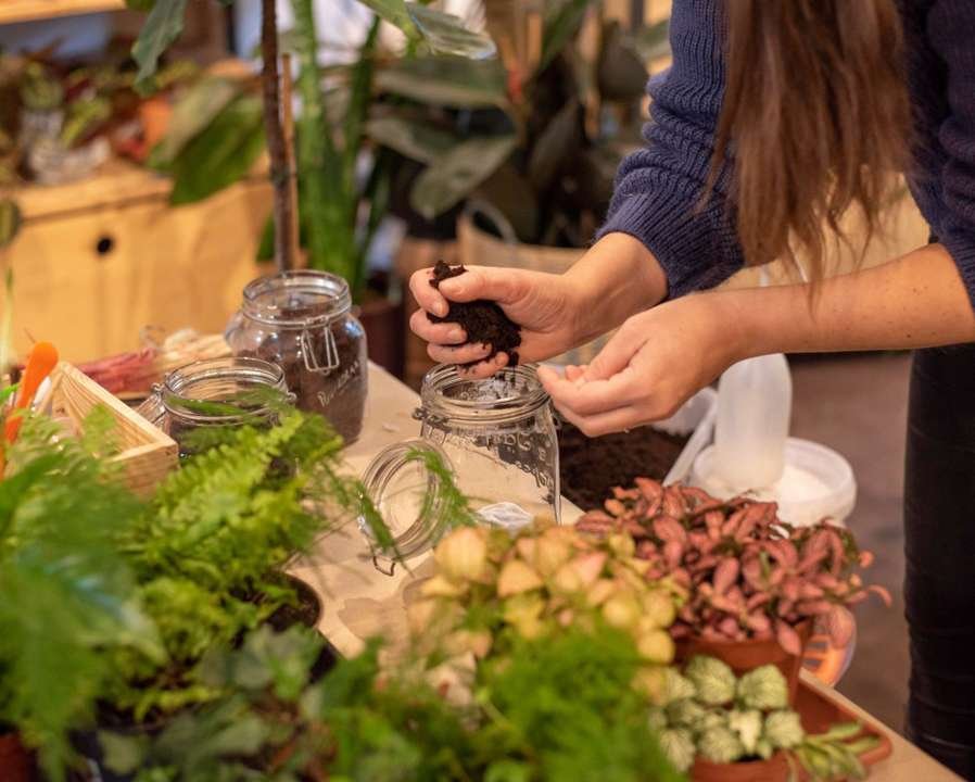 terrarium floral team building Marrakech